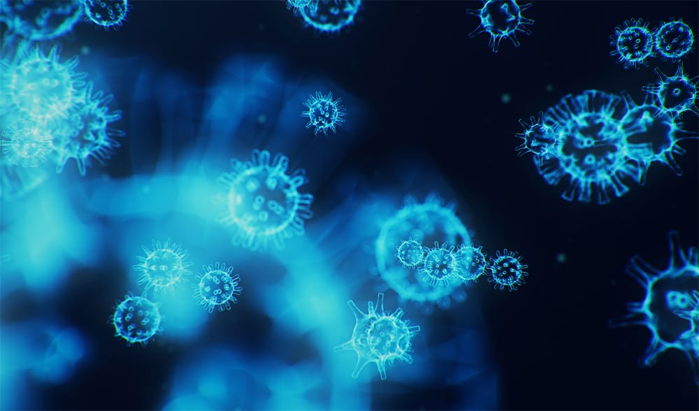 lavandería ecológica