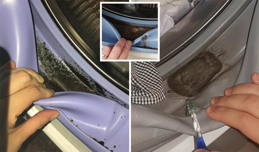 lavandería de ozono