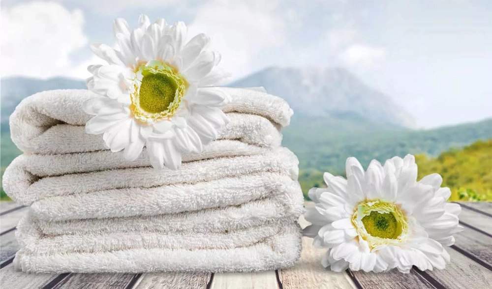 lavandería de ozono