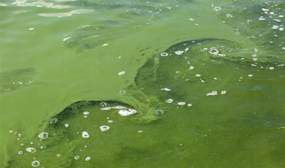 lavandería ecológica con ozono