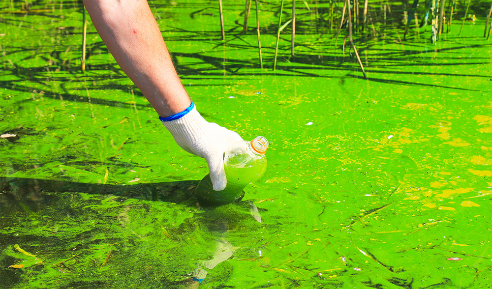 lavandería de ozono